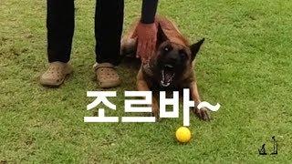 조르바