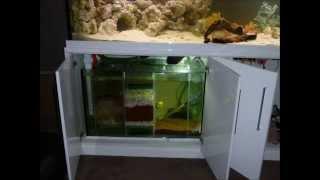 Custom Fish  Tanks from T.V.S Aquatics
