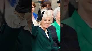 #Meghan #Prince Harry #Prince William #Camilla