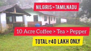 10 Acre Tea Coffee Pepper Agricultural Land For Sale | Nilgiris | Tamilnadu (Total 40 Lakh)