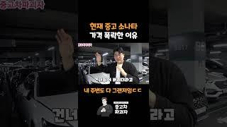 현재 중고 소나타 가격 폭락한 이유 #shorts