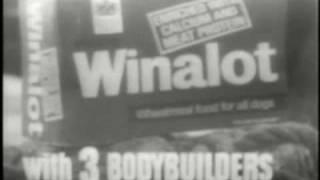ABC PRESENTATION OF ADVERTS FROM 1967/68 IN BLACK AND WHITE