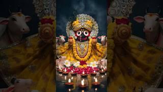 why Hindu celebrate jagannath raat yaatre?🩶..#shortvideo #hinduism #jagannath #celebration...