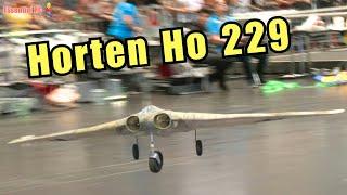 German Warbirds ! Horten jet and Bf 109 in Action | DMFV Team