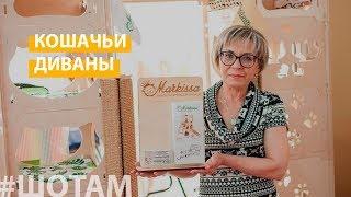 #ШоТам | Кошачье царство