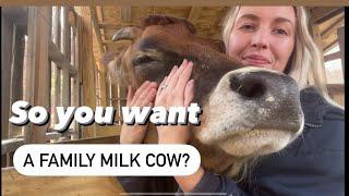 Family Milk Cow / a few things I wish I would have known before buying one