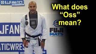 What is the Meaning of Bow and Oss by Bernardo Faria