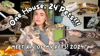 Meet All 24 of my Pets!!!