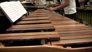 TCU Percussion Orchestra PASIC 2015 trailer #3