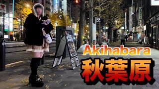 【４Ｋ60】nightwalk in Akihabara【夜の秋葉原をお散歩】2024年12月21日