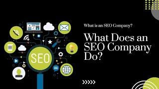 What is an SEO Company? What Does an SEO Company Do? - Brainmine Web Solutions