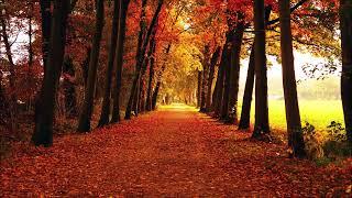 Cafe De Anatolia MEDITATION & ASMR - Autumn | Beautiful Relaxing Music for Study and Work