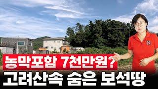 농막포함 7천만원. 고려산속 숨은 보석 땅!!!