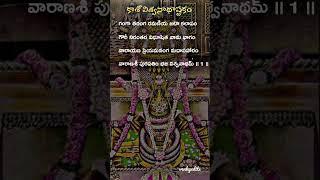 కాశీ విశ్వనాథాష్టకం #kasiviswanath #lordshivan #lyricalstatus #shiva