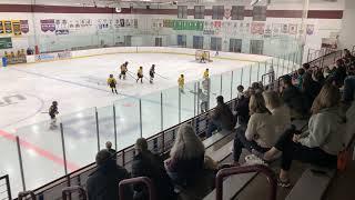 17 November 2024 game between 12U AYHL White and 12U AYHL Gold teams , W6-4