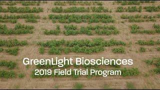 GreenLight 2019 Field Trials