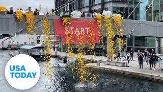 Over 1,000 rubber ducks hit the water in London in a race for charity | USA TODAY