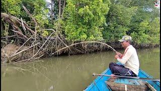 Panen strike hampir di setiap spot