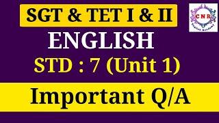 SGT | TET I & II | ENGLISH | Std 7th | Important Q/A | UNIT 1 | PART 1