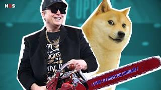 DOGE: van meme naar macht