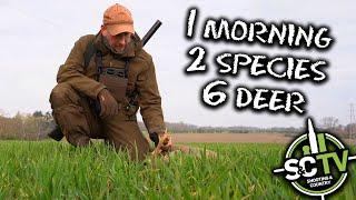 S&C TV | 6 deer 2 species hunt | Deer management with Chris Rogers 22