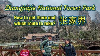 Zhangjiajie 张家界国家森林公园; Avatar Hallelujah Mountain; How to get there and which route to take?