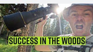 Back in the woods, looking for owls - Success! A Wildlife Photography Vlog in Western Wyoming