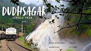 ராட்சச அருவி Dudhsagar waterfall Tamil | Real Trekker | How to go, trekking & Guide charges etc