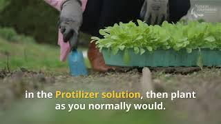 Natural Alternative Protilizer