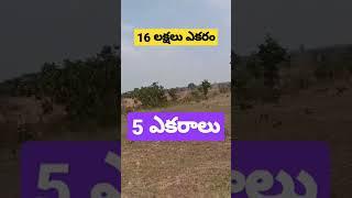 low price agriculture land sale in telangana #9533344166#16 lakhs acre#peddapalli#hyderabad @soldout