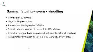 Vinodling i kallare klimat. Lunchseminarium med SLU Future Food den 12 maj 2021.