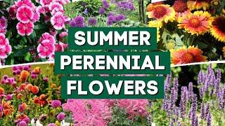 10+ Perennial Flowers That Bloom All Summer!   // PlantDo Home & Garden