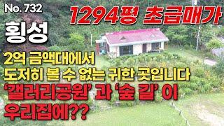 [횡성편] 2억 금액대에서 도저히 볼 수 없는 귀한 곳입니다 ‘갤러리공원’ 과 ‘숲 길’ 이 우리집에?? 1294평  초급매가