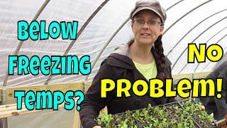 Unheated Greenhouse Troubles.  Our Solution!