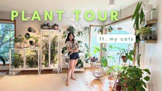 Plant Tour | my houseplant collection ft. my cats