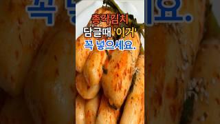 총각김치 담글때 이거 꼭 넣으세요 #건강  #건강정보  #음식  #김치
