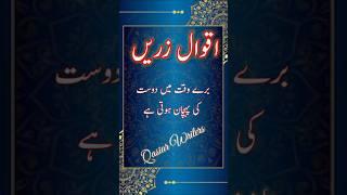 Hazrat ali quotes in urdu #quotes #hazrataliquotes #goldenwords #poetry #shorts