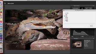 Canon Digital Photo Professional (DPP) 4: Software Overview and Interface Tour