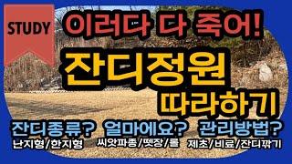 잔디정원 꼭 이렇게 만들고 관리하세요! 잔디종류/조성비용/관리방법/연간일정표