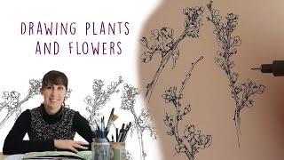 Drawing Plants and Flowers - Starting a drawing