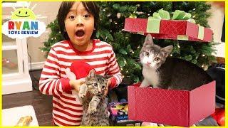 Surprise Ryan with Two Cats for Christmas!