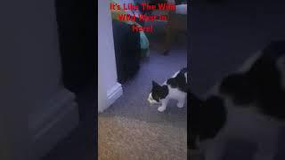 The Newest UndercoverET Won This Stand Off!