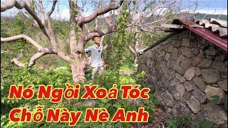 Kinh hãi thanh niên xây nhà trên khu đất có người tự “giải thoát”, nữa đêm toàn gặp chuyện Ớn Óc