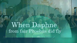 When Daphne from fair Phoebus did fly | Berliner Blockflöten Orchester