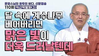 달 속의 계수나무 베어버리면 맑은 빛이 더욱 드러날텐데 | 문광스님의 화두의 바다 선문염송 110회 덕산탁발화(3) #문광스님 #화두 #참선