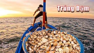 Lặn Biển Điểm Mới Gần Bờ_Hai Chú Cháu TRÚNG ĐẬM Ổ Hải Sản Có Giá Trị Cao P251