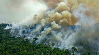 Leaders of more than 100 countries pledge to end deforestation by 2030 • FRANCE 24 English