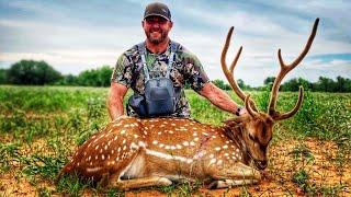 Axis Deer Hunting in Texas! ~ Chad Alan Jones