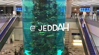 World's Biggest Airport Aquarium @ Jeddah, Saudi Arabia