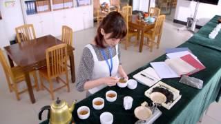 闪亮茗天 19 朱梓驍 潘之琳 官方HD